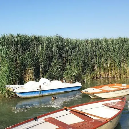 Mila - Keszeg Zamárdi