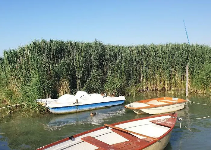 Mila - Keszeg Zamárdi